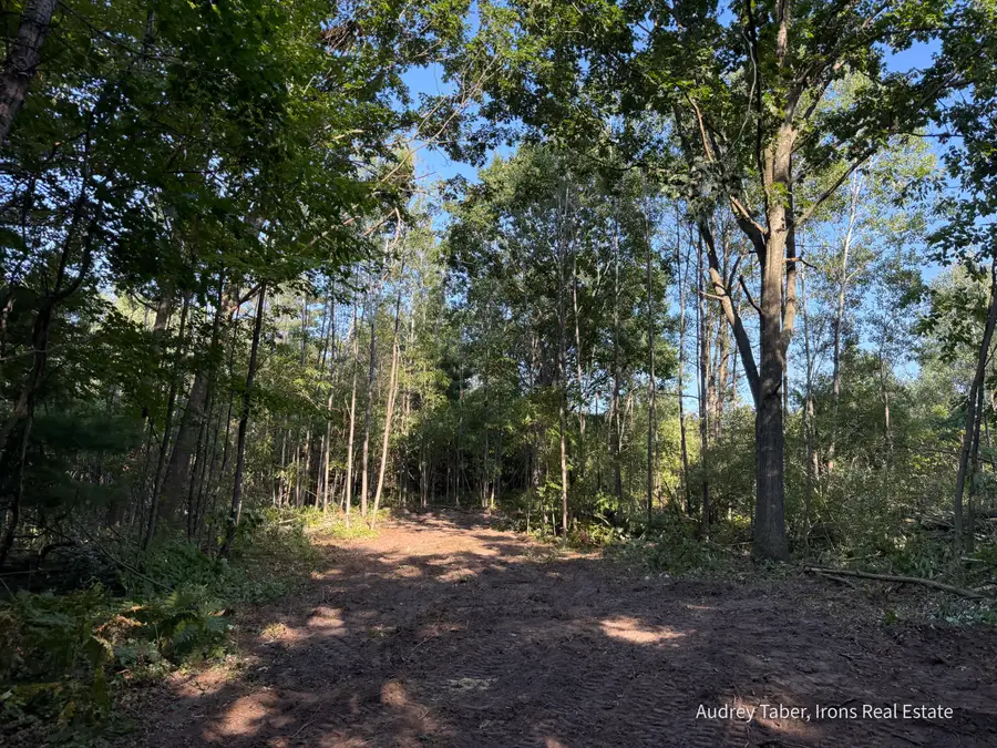 Par 3 Clements Road, Kaleva, MI 49645 - #3