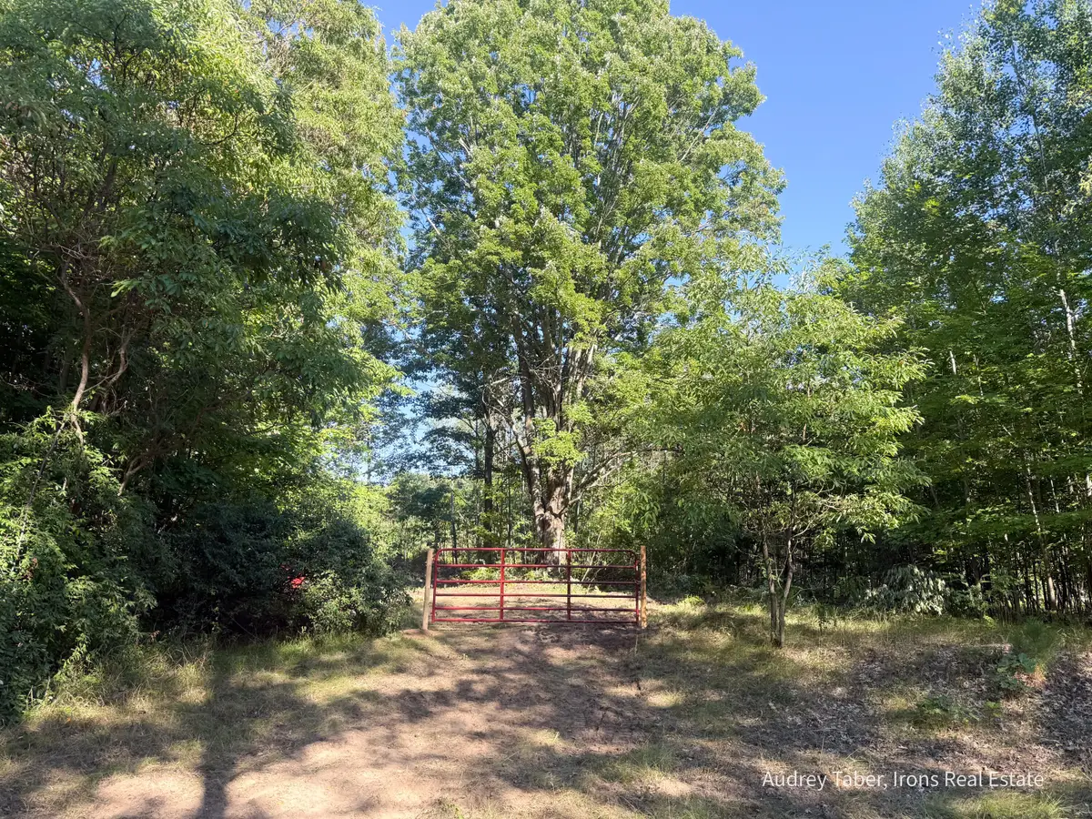 Par 4 Clements Road, Kaleva, MI 49645 - #1