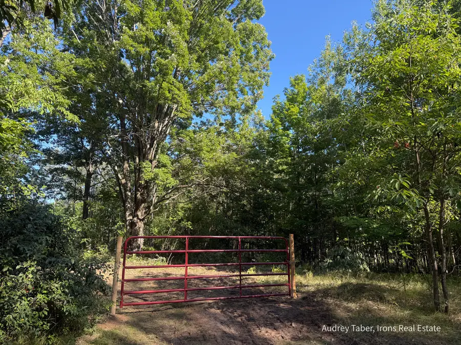 Par 4 Clements Road, Kaleva, MI 49645 - #2