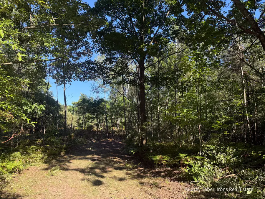 Par 4 Clements Road, Kaleva, MI 49645 - #3