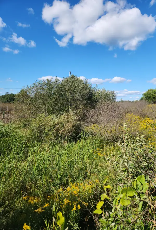 00 18 Mile Road, Leroy, MI 49655