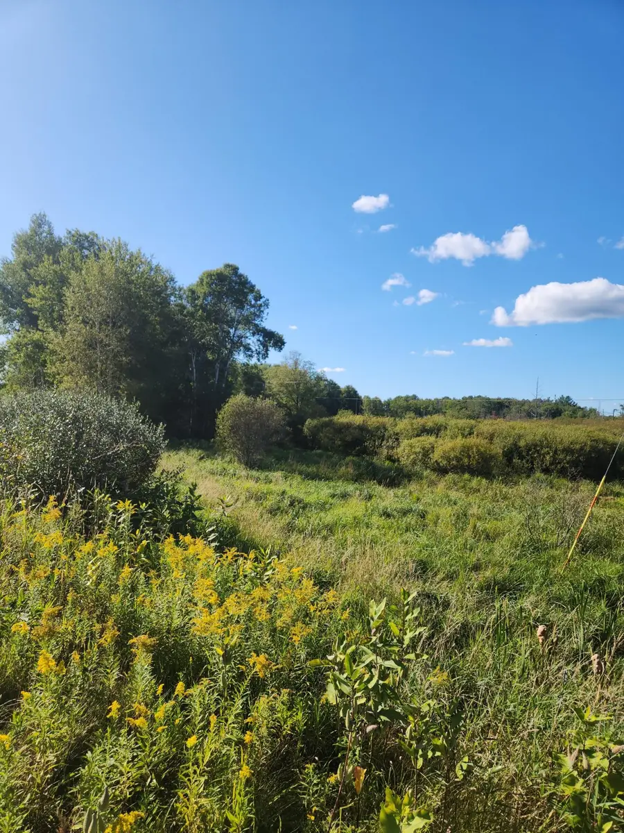 00 18 Mile Road, Leroy, MI 49655 - #2