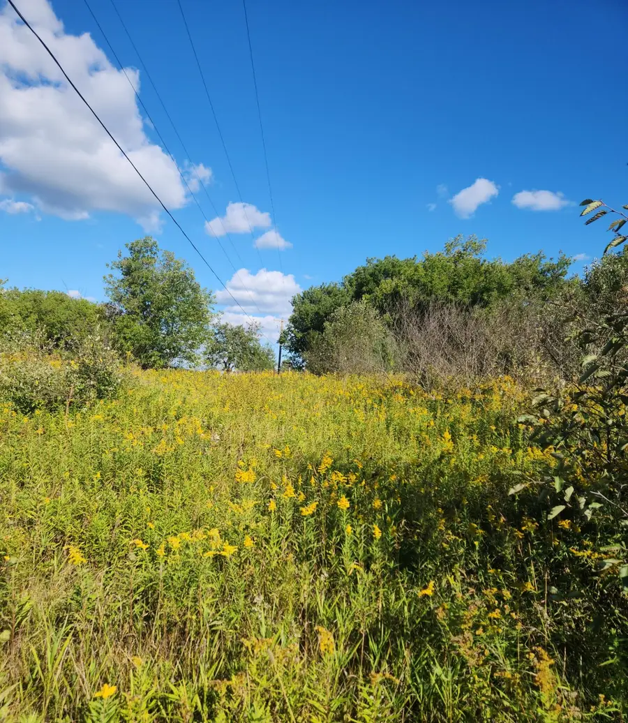 00 18 Mile Road, Leroy, MI 49655 - #3