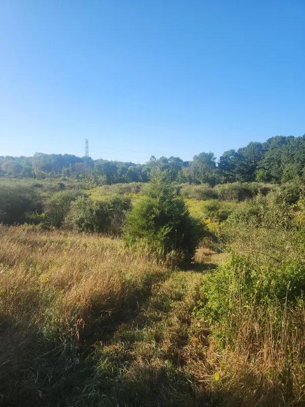 V/l Wise Road, Sheridan, MI 48884