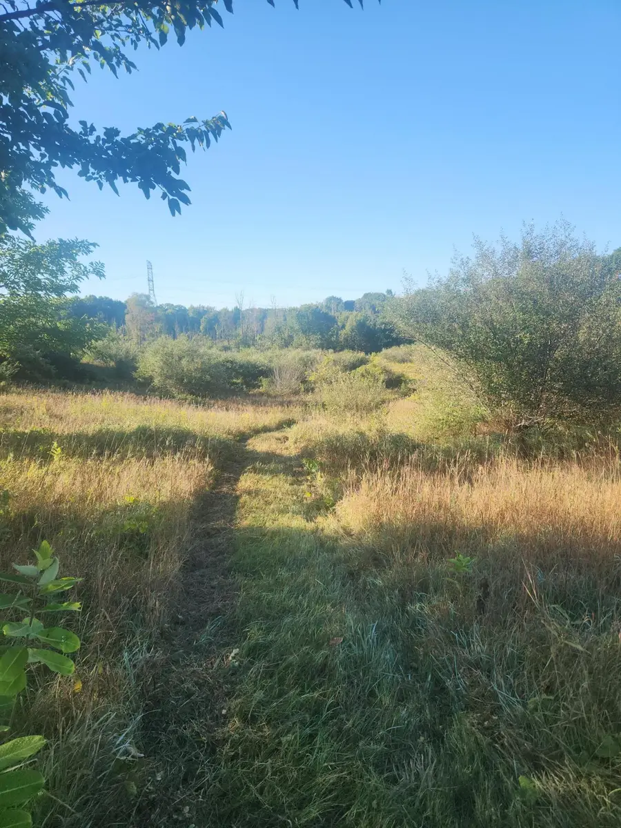 V/l Wise Road, Sheridan, MI 48884 - #2