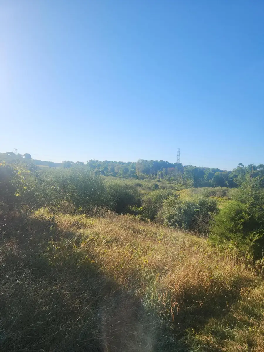 V/l Wise Road, Sheridan, MI 48884 - #3