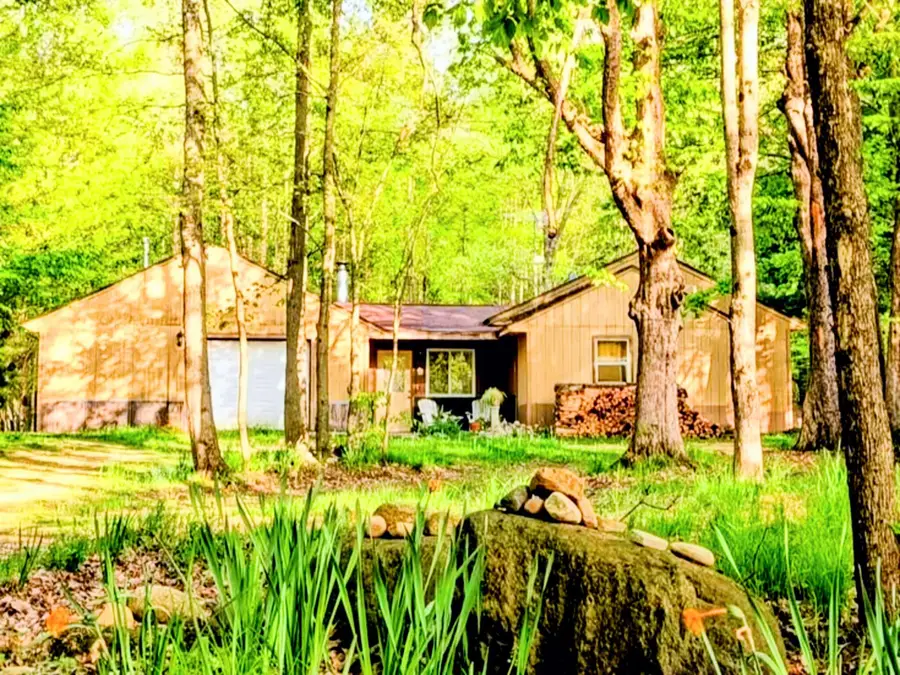 6779 S Woods Trail, Custer, MI 49405 - #2