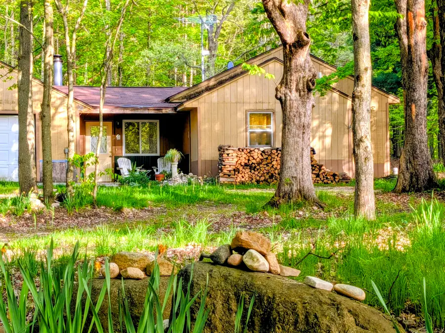 6779 S Woods Trail, Custer, MI 49405 - #3