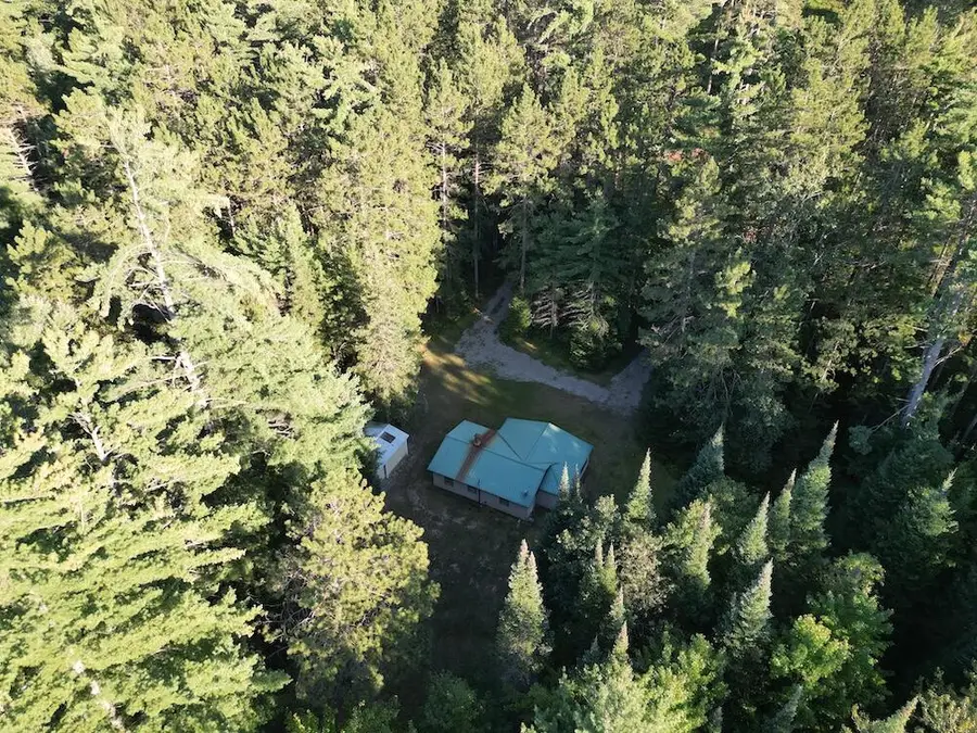 3379 Hehir Trail, Grayling, MI 49738 - #2