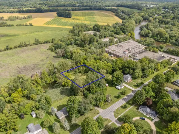 Parcel A Burgess Street, Lyons, MI 48851