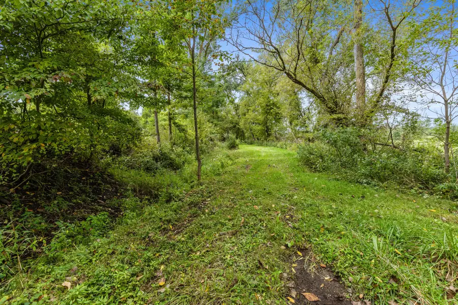 Parcel A Burgess Street, Lyons, MI 48851 - #3