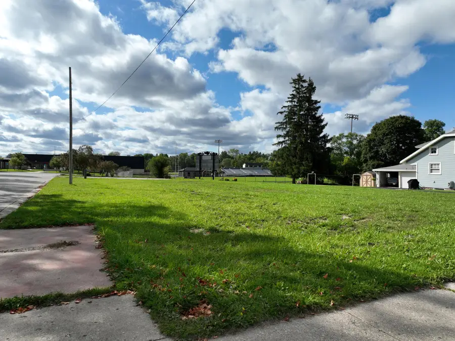781 S Chestnut Street, Reed City, MI 49677 - #2