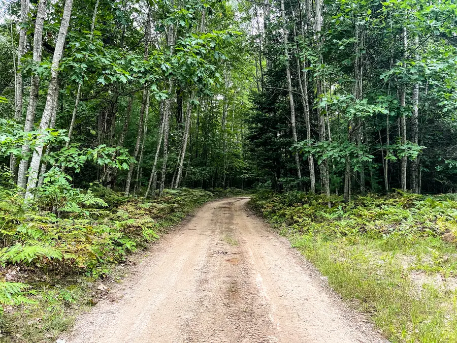 00 Big Bend Drive, Evart, MI 49631 - #2