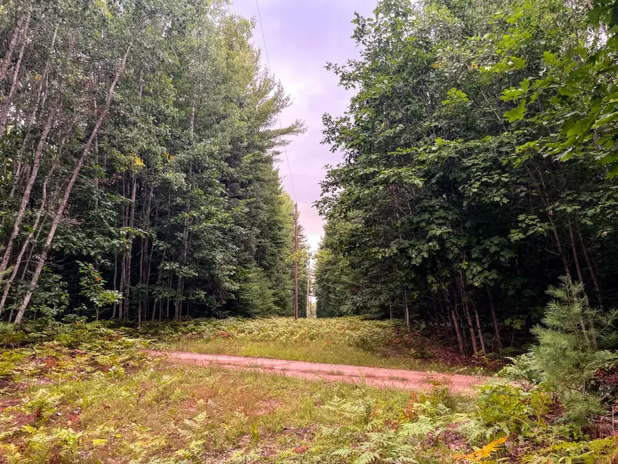 00 Big Bend Drive, Evart, MI 49631 - #3
