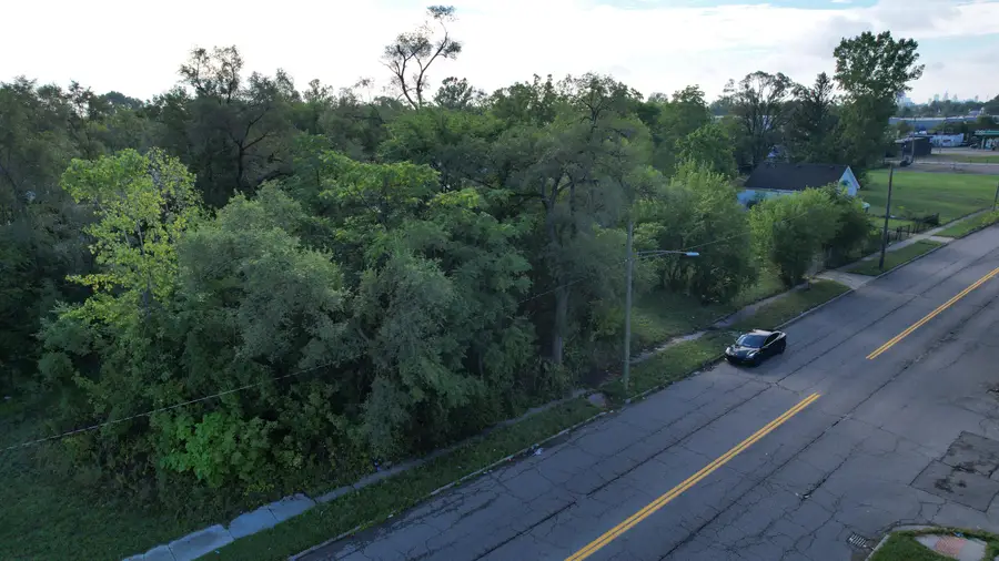17280 Dequindre Street, Detroit, MI 48212 - #2