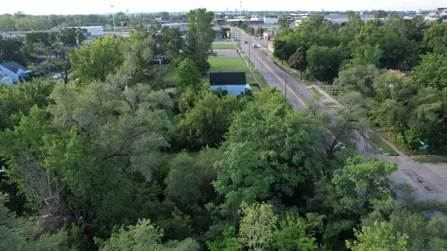 17280 Dequindre Street, Detroit, MI 48212 - #3