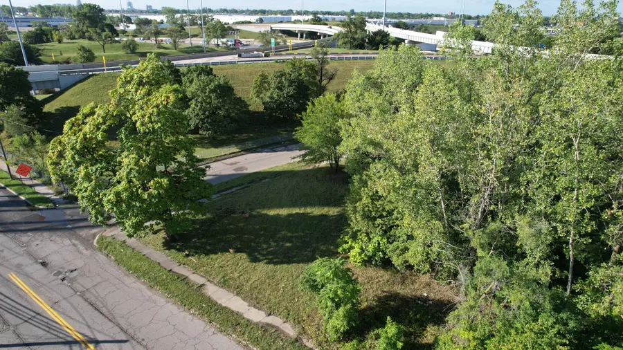 13451 Dequindre Street, Detroit, MI 48212 - #2