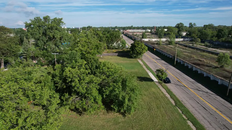 13541 Dequindre Street, Detroit, MI 48212 - #3