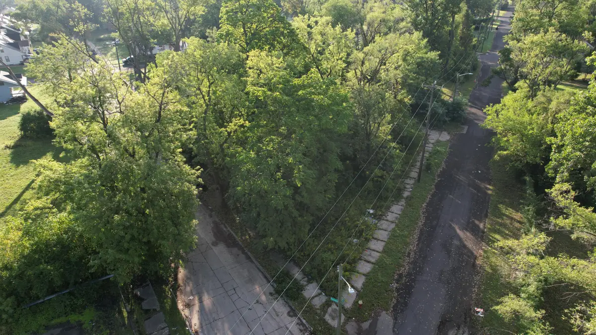 20536 Fayette Street, Detroit, MI 48203 - #1
