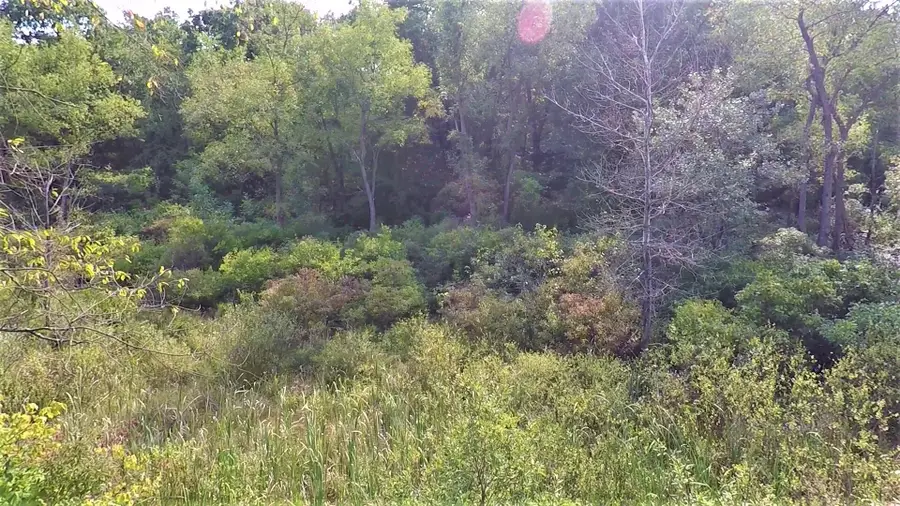 664 Grat Strasse Road, Manchester, MI 48158 - #3