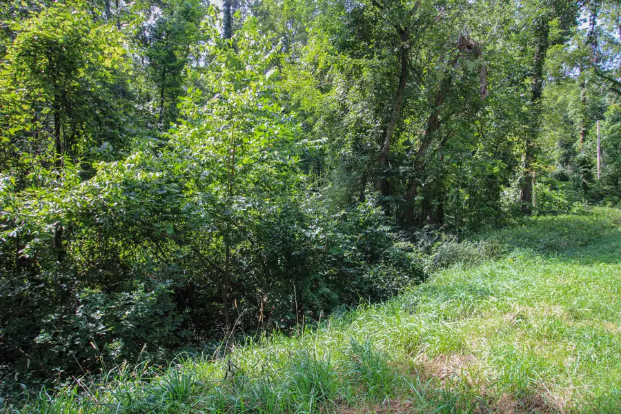 V/L Millard Road, Three Rivers, MI 49093 - #2