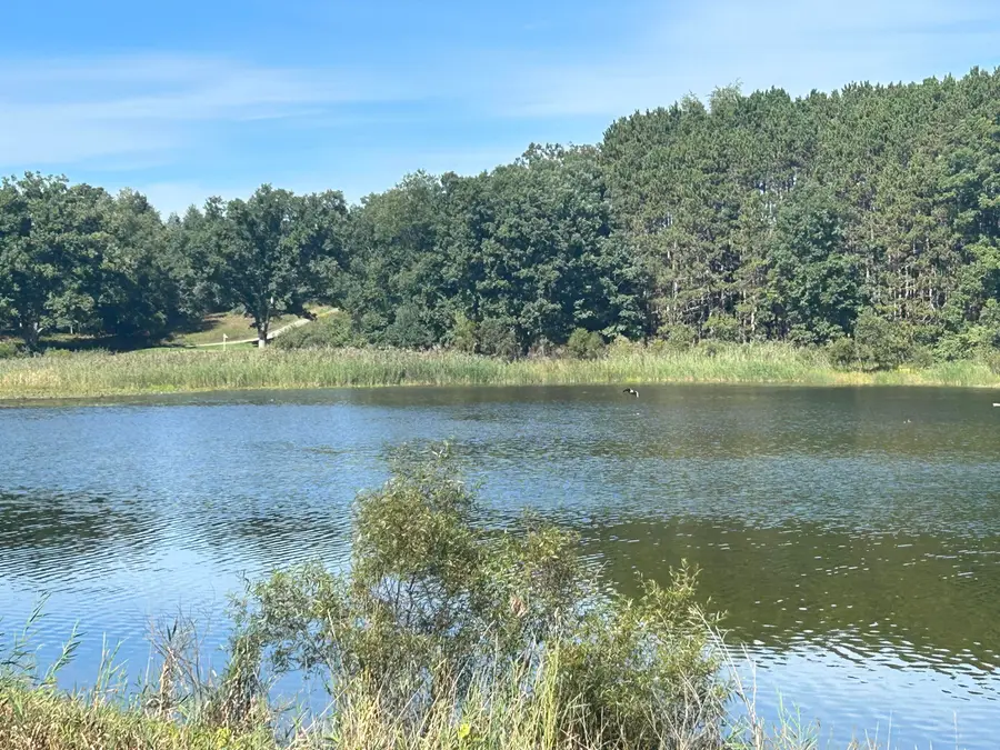 6806 Bantry Bay Court #1, Canadian Lakes, MI 49346 - #3