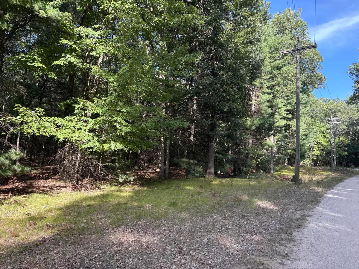 Lot 136 Wayne Avenue, Pentwater, MI 49449 - #1