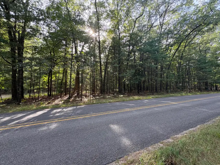 Lot 136 Wayne Avenue, Pentwater, MI 49449 - #2