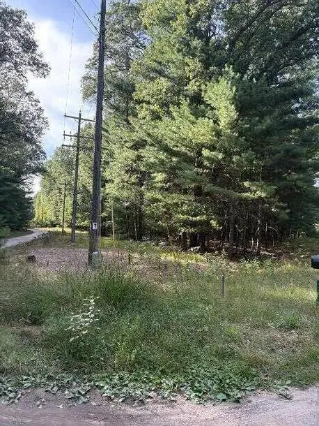 Lot 136 Wayne Avenue, Pentwater, MI 49449 - #3
