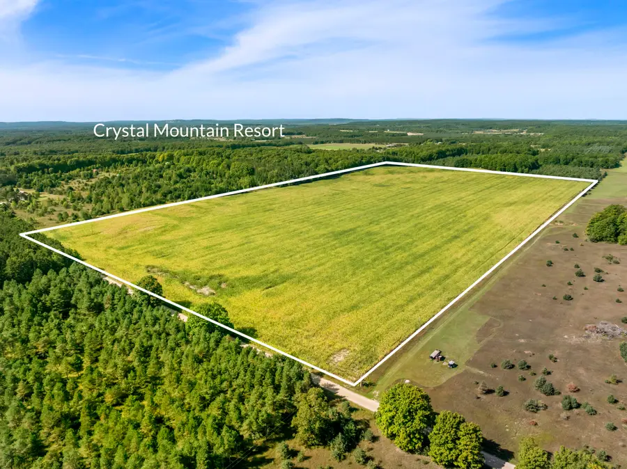 23490 Valencourt Road, Copemish, MI 49625 - #2
