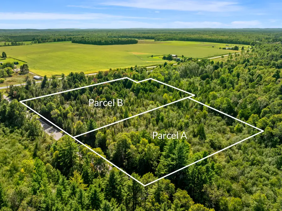 Parcel B Yates Road, Copemish, MI 49625 - #2