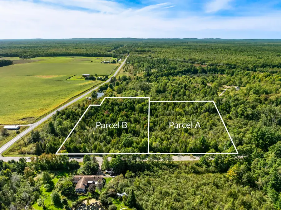 Parcel B Yates Road, Copemish, MI 49625 - #3