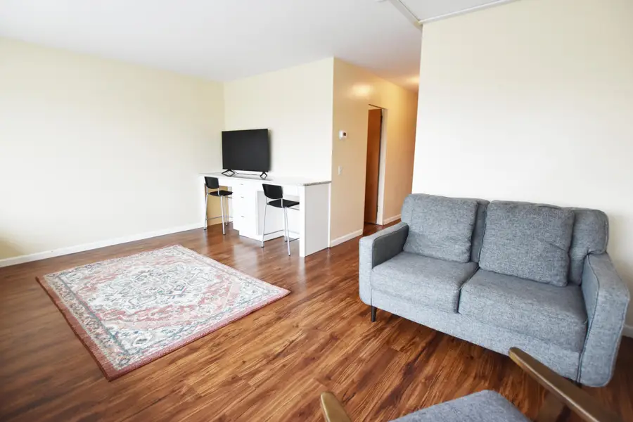 555 E William Street #11h, Ann Arbor, MI 48104 - #3