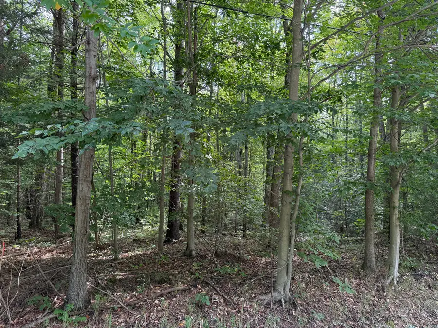 V/L Hyde Park Road #Parcel B, Muskegon, MI 49445 - #3