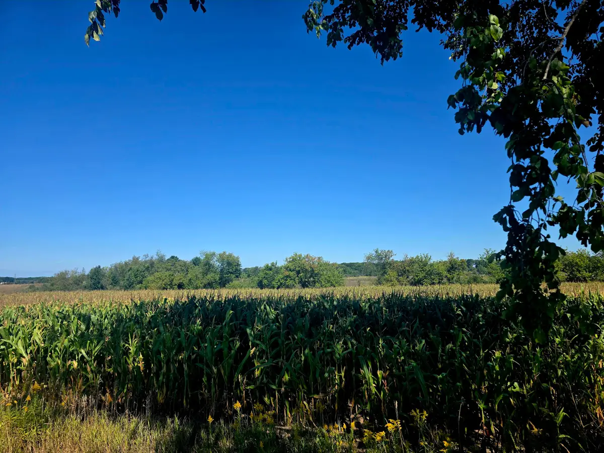 W 24th St, Fremont, MI 49412 - #1