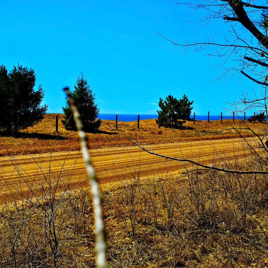 V/L Bischoff Road, Arcadia, MI 49613 - #2