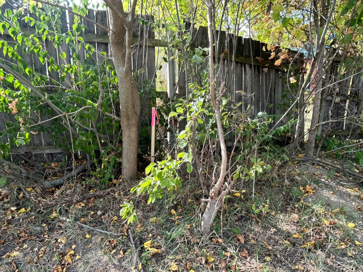 1962 Mccartney Avenue, Ypsilanti, MI 48198 - #1