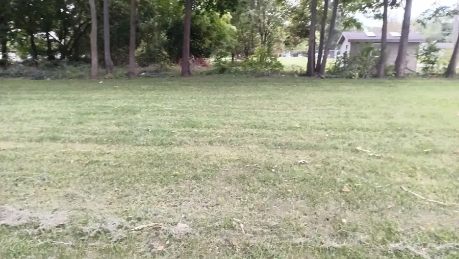 823 Carl Breeding Way, Jackson, MI 49203 - #3