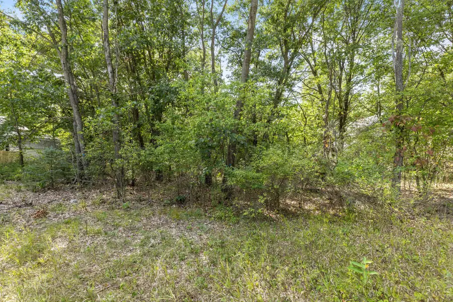 V/L Seneca Dr., Howard City, MI 49329 - #2
