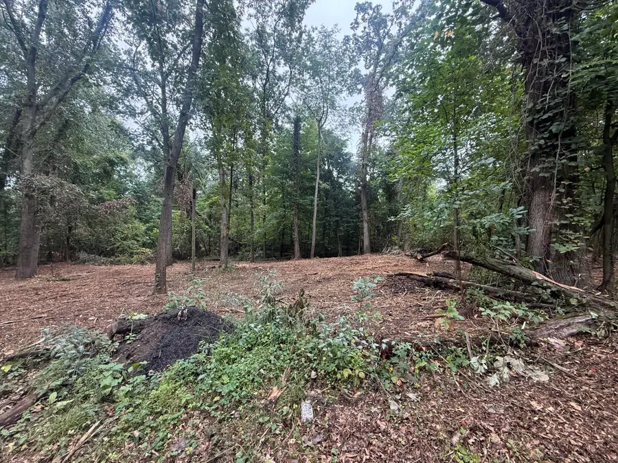 VL Lakeview Dr, Dowagiac, MI 49047 - #3