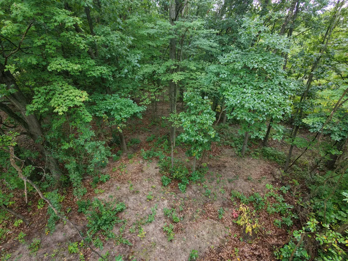 12998 Bowen Lake Drive, Gowen, MI 49326 - #1