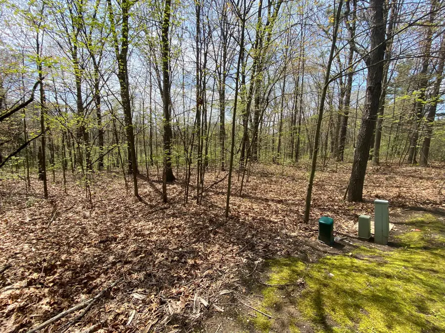 12998 Bowen Lake Drive, Gowen, MI 49326 - #3