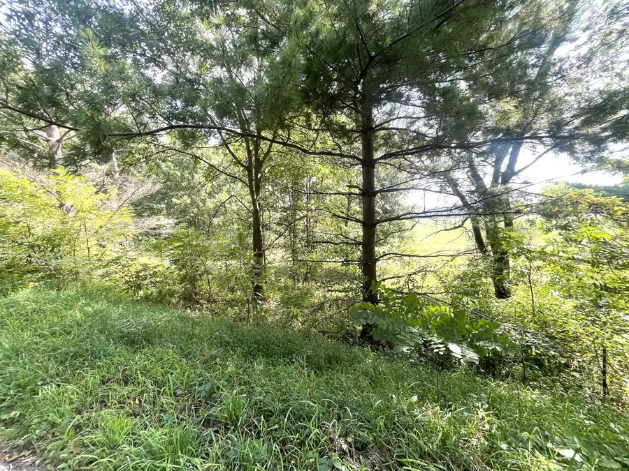 B Grand River Road, Rives Junction, MI 49277 - #3