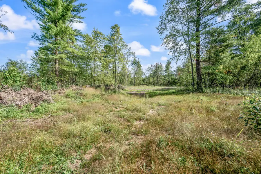 5.8 A V/L 220th Avenue, Big Rapids, MI 49307 - #2