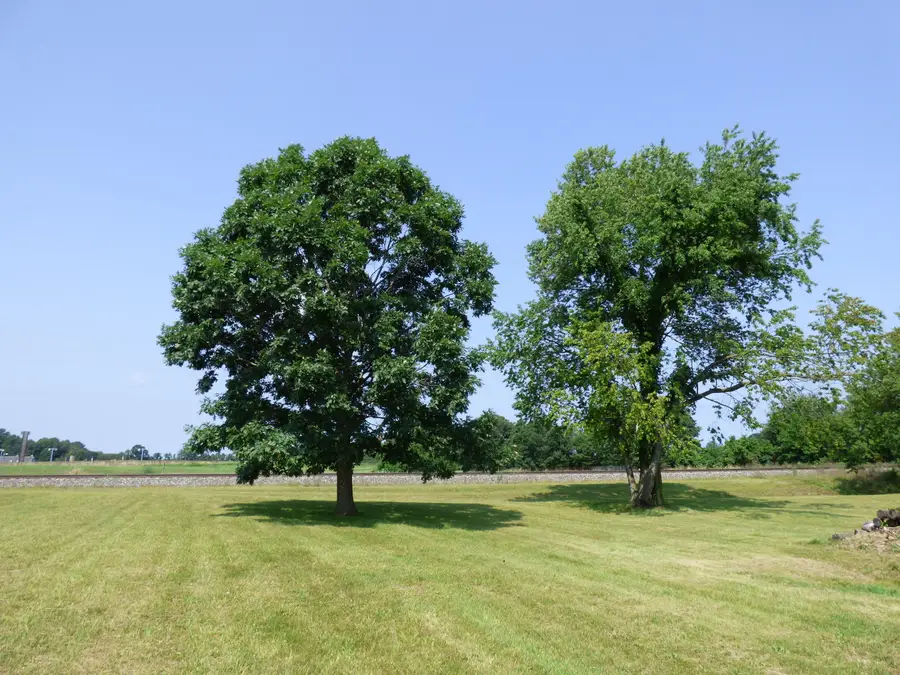 0 N Center Street, Hartford, MI 49057 - #3