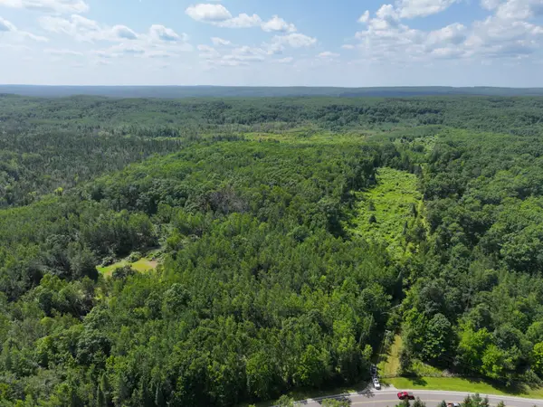 V/L 165A N Mt Maria Road, Hubbard Lake, MI 49747
