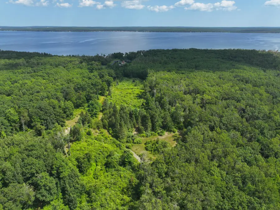 V/L 165A N Mt Maria Road, Hubbard Lake, MI 49747 - #2