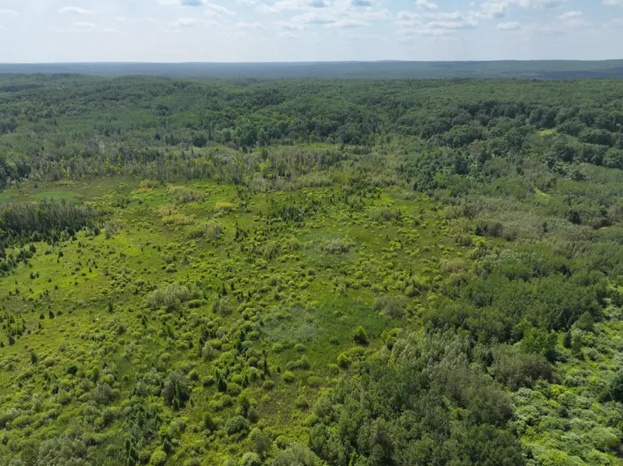 V/L 165A N Mt Maria Road, Hubbard Lake, MI 49747 - #3