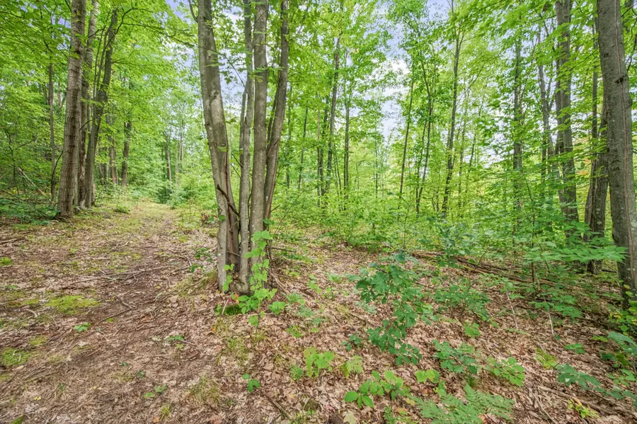 V/L 05 8 Mile Rd, Evart, MI 49631 - #2