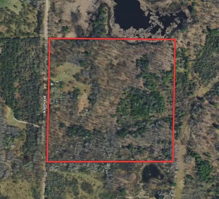 16396 S 50th Avenue, Marion, MI 49665 - #3
